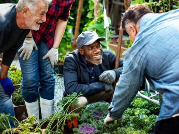 Free: Growing Out - Therapeutic gardening for mental health