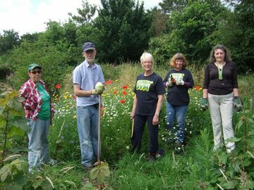 Free: Conservation volunteers at East Ham Nature Reserve