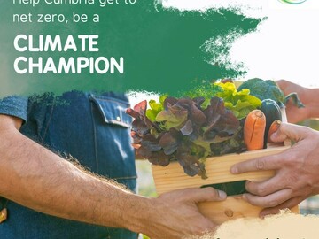Free: Volunteer Opportunity- Copeland Climate Champions Project